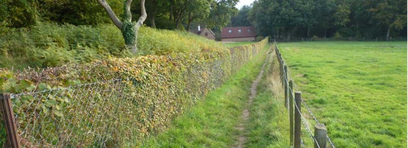 Resurfaced section of footpath 5 near Riverside Cottage